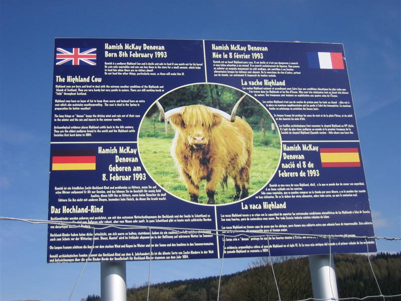 Scotland 6627